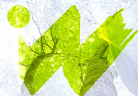 Willing Company Logo